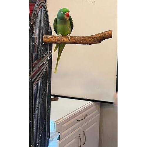 Hardwood Bird Perch A669