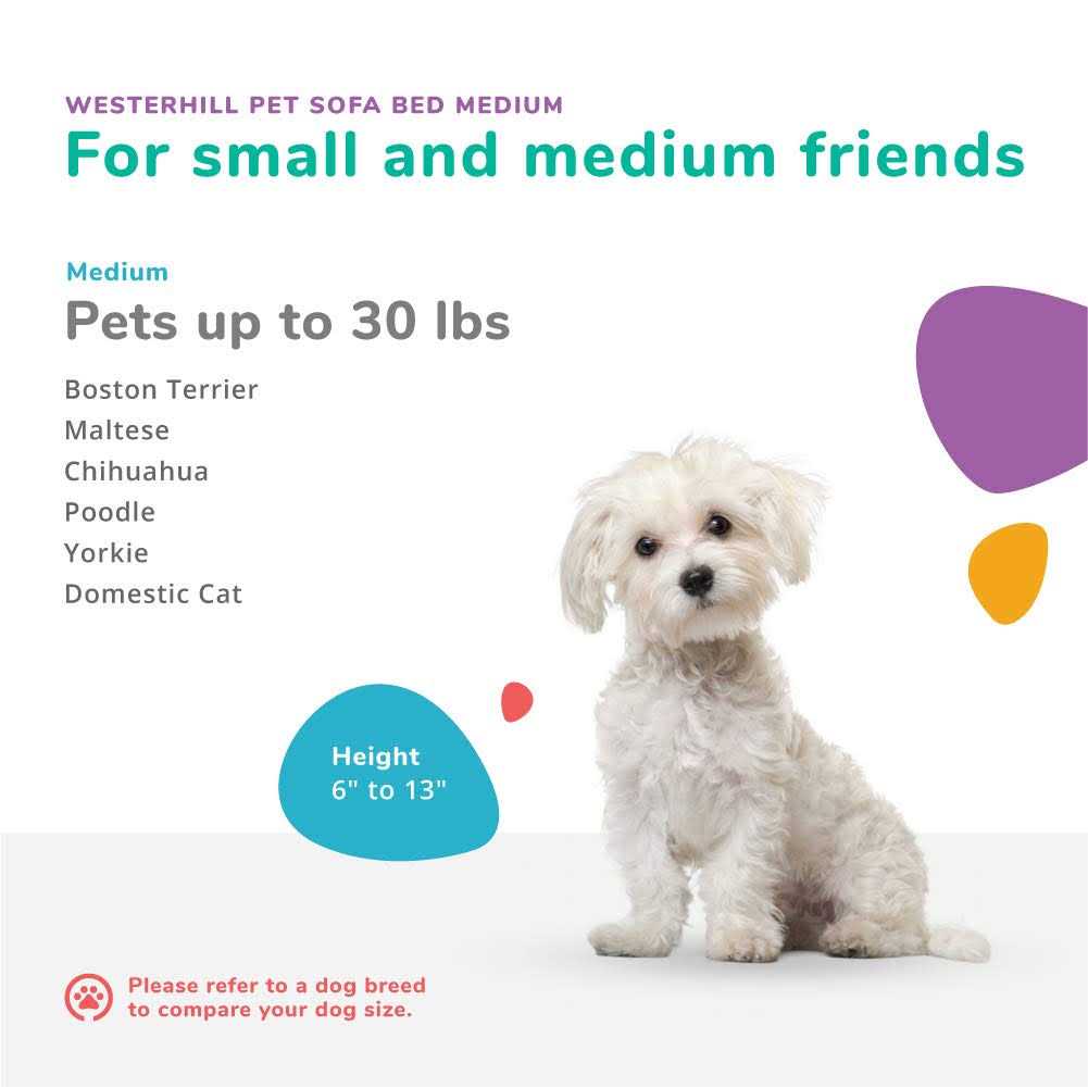 Pet Sofa Bed H7199