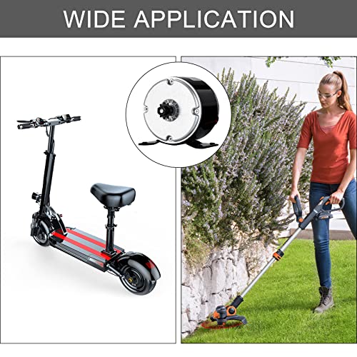 24V 350W 3000RPM Brushed Electric Motor P8045