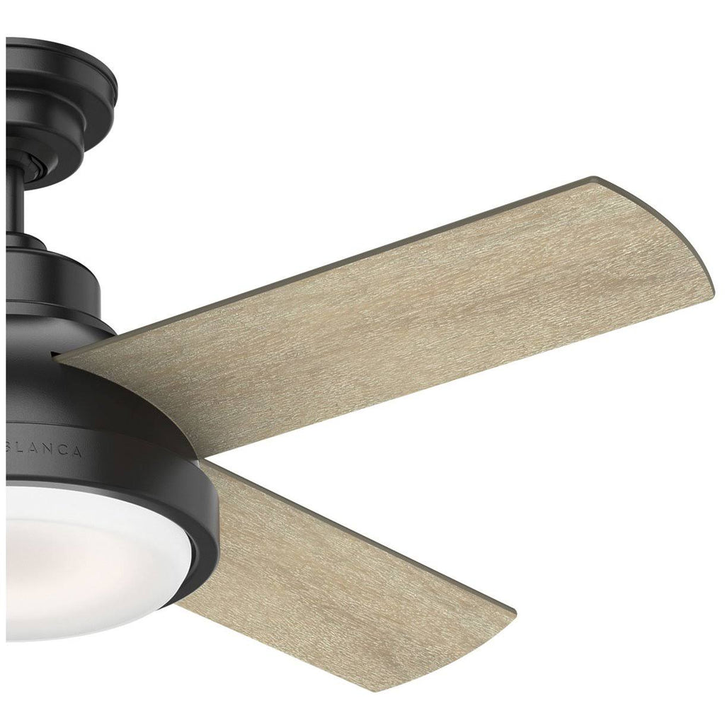 Matte Black LED Ceiling Fan G74581