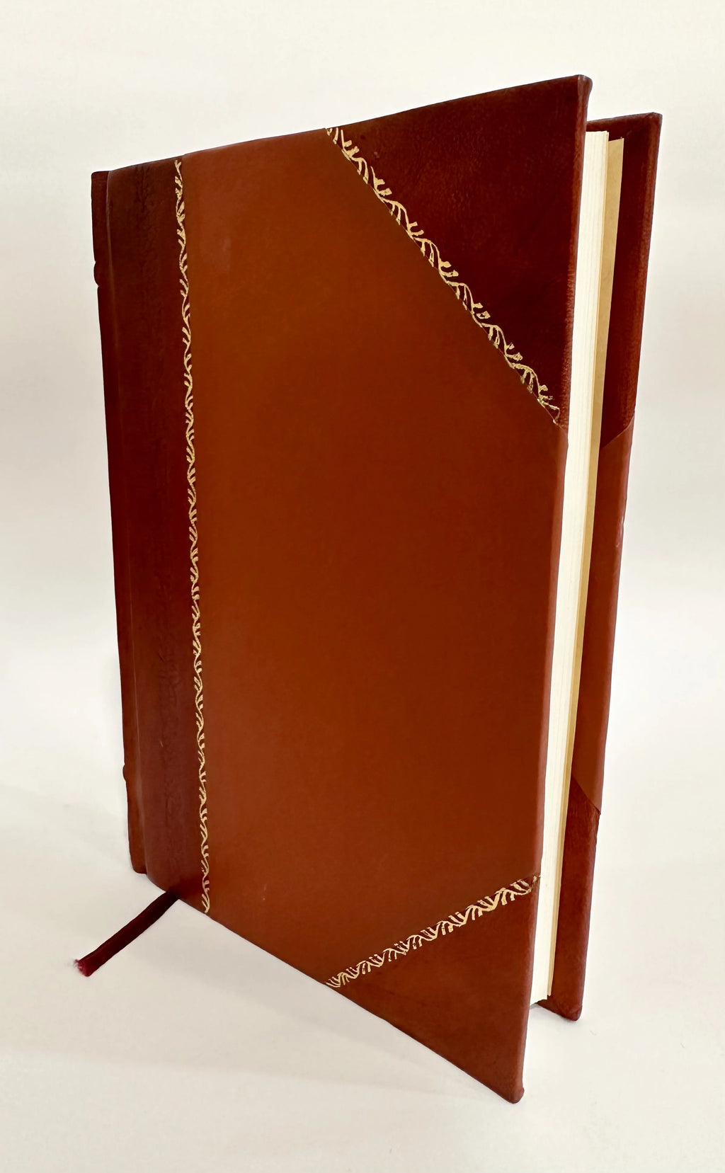 Latin Medical Disputation Leather Bound F999