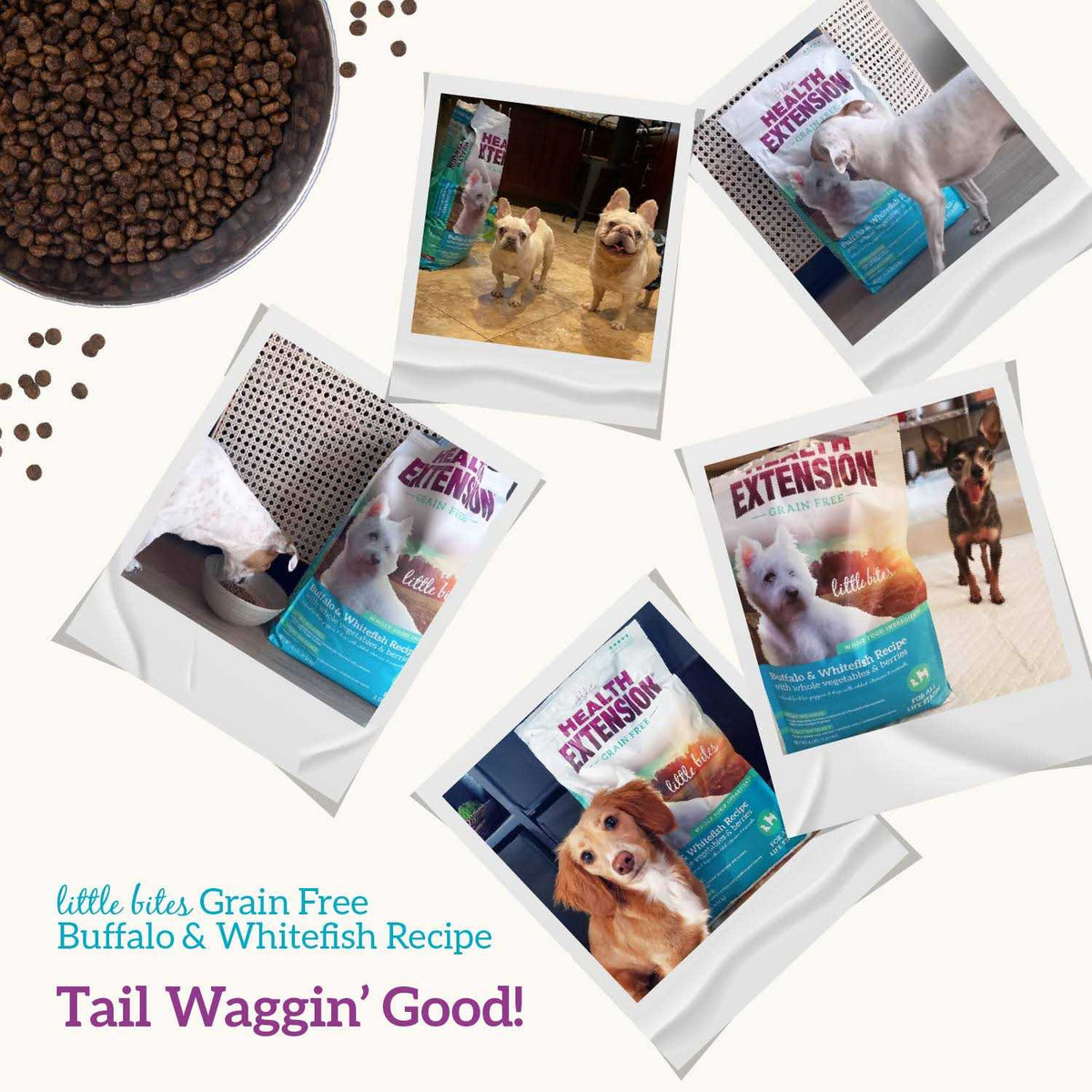 Grain Free Buffalo & Whitefish Dry Dog Food W995