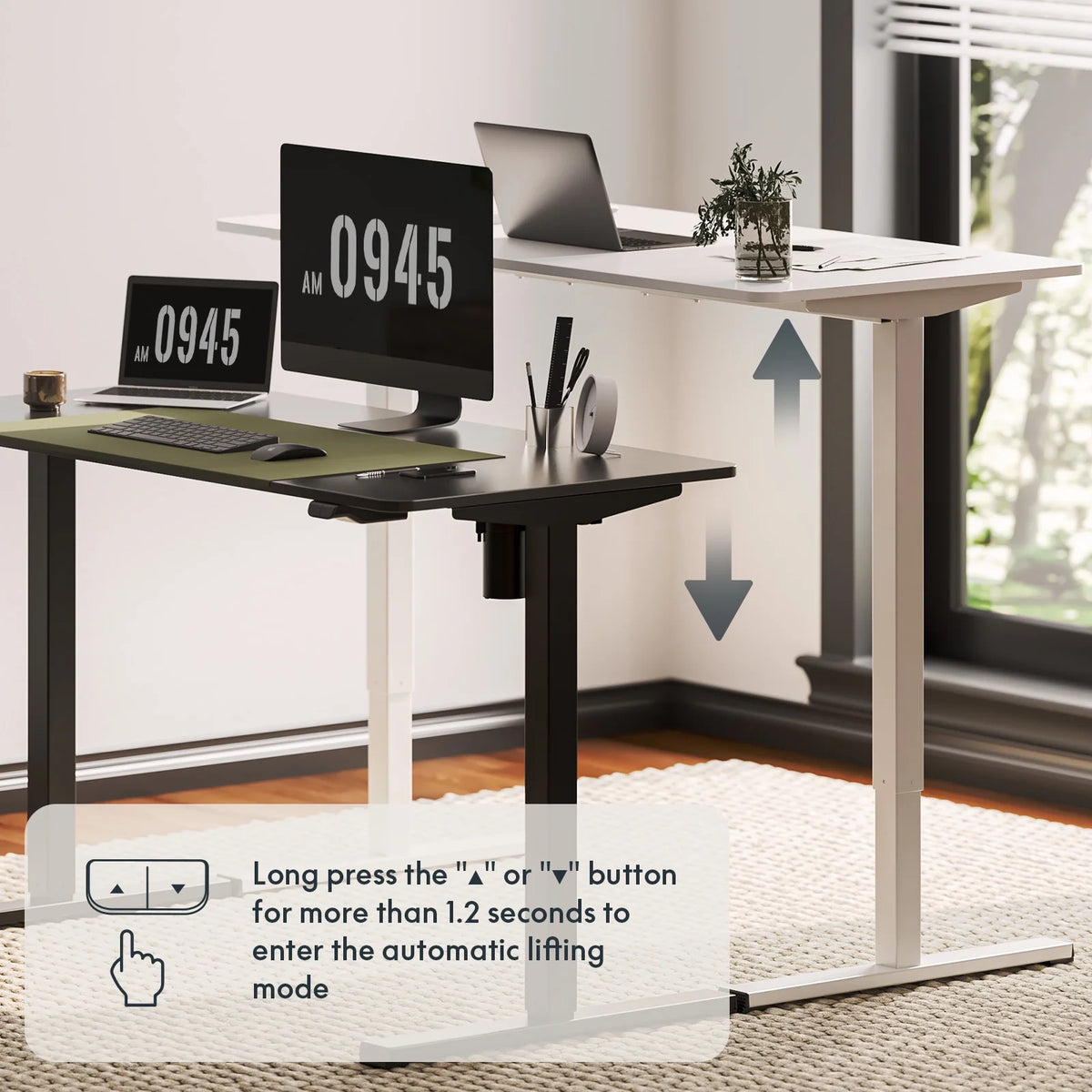 40"X24" White Height Adjustable Standing Desk Z3791