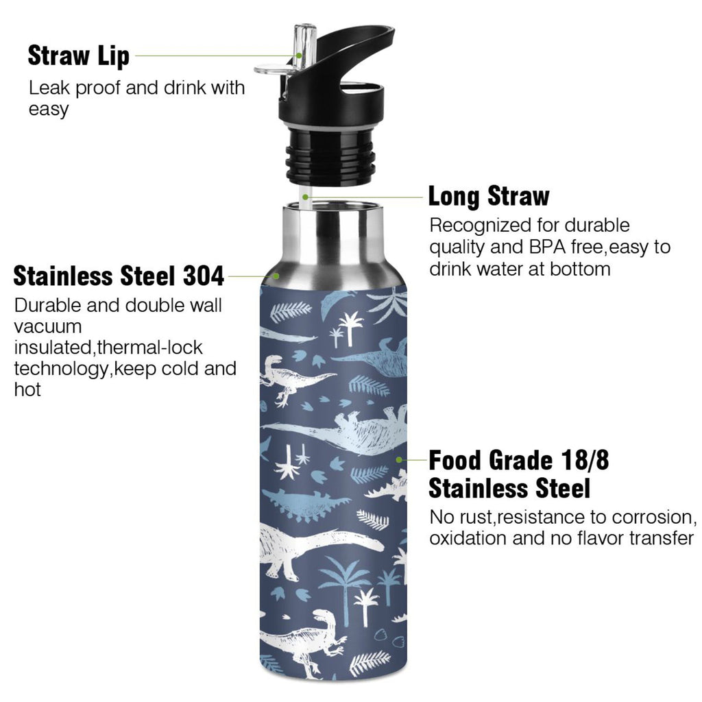 Blue Dinosaur Stainless Steel Insulated Water Bottle with Straw Lid K174