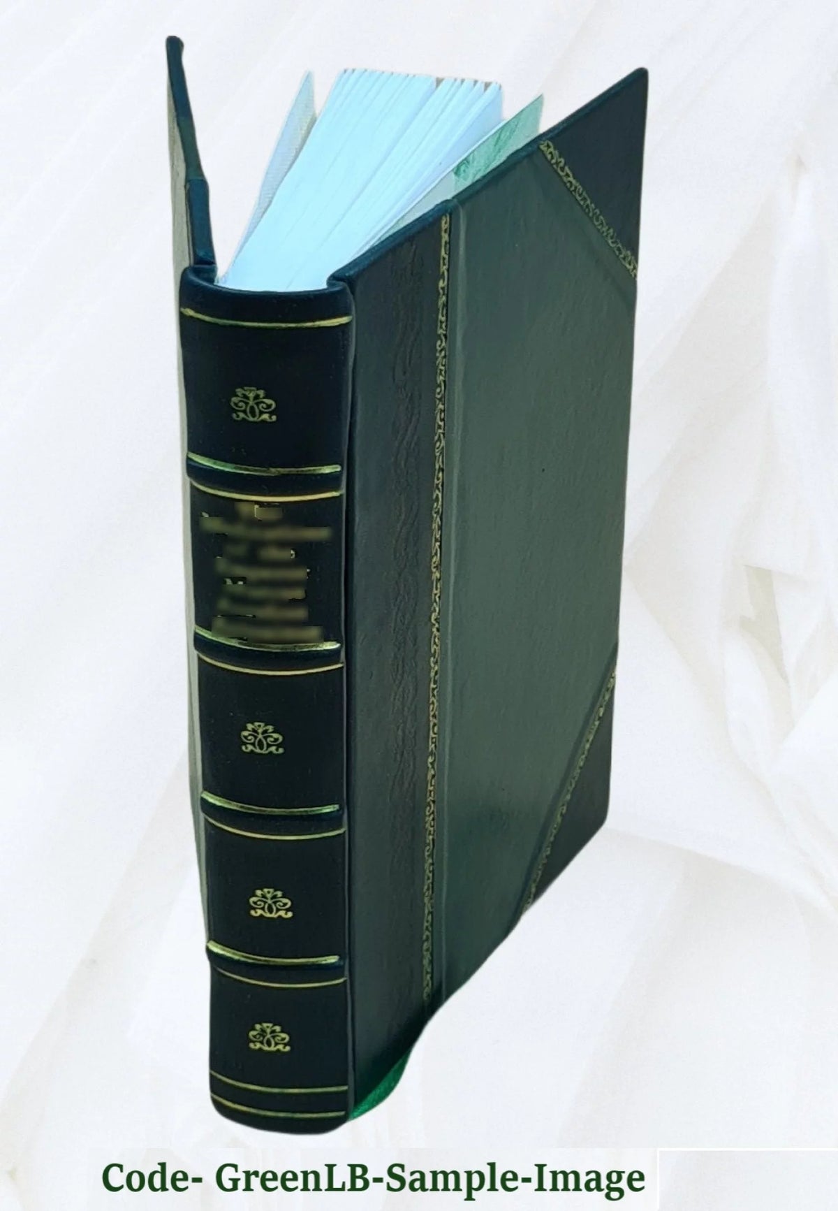 True Christianity Leather Bound Z771866