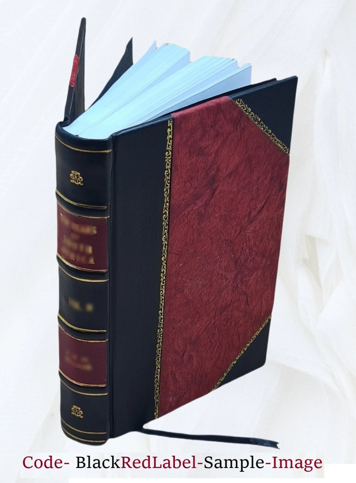 1905 Leather Bound S385