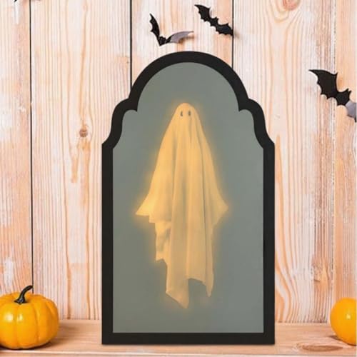Holographic Ghost Mirror D1604